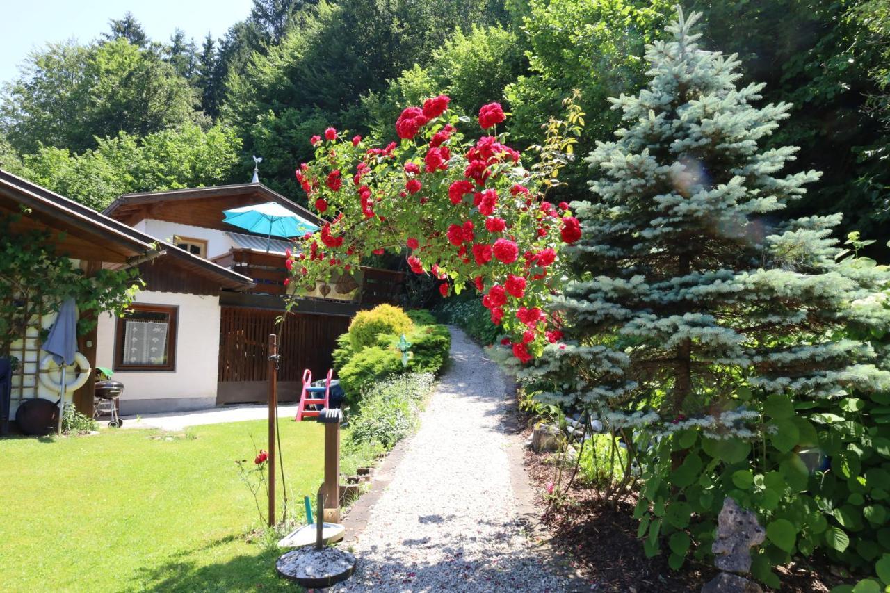 Ferienwohnung Schellander Privatstrand 沃尔特湖畔韦尔登 外观 照片